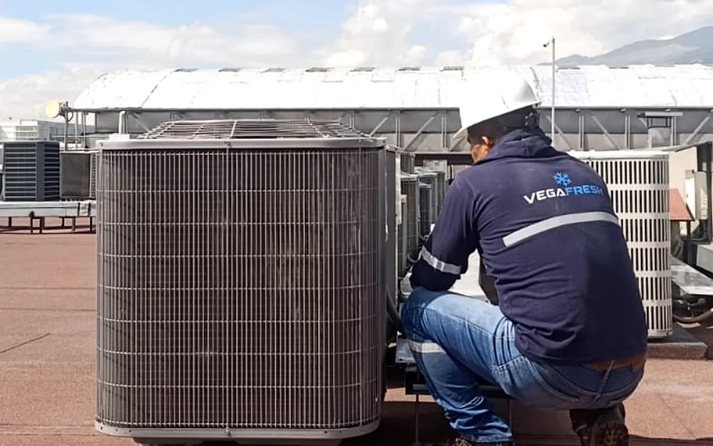 Trabajo de mantenimiento de Vega Fresh
